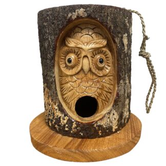 Owl in tree trunk bird house
